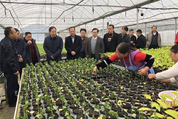 中国农业人才网
