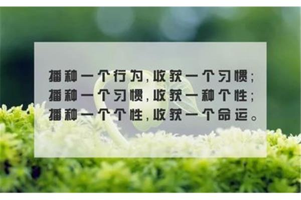 教育的真谛