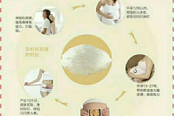 孕妇吃燕窝的好处