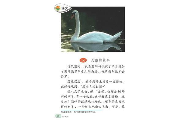 六只天鹅的故事