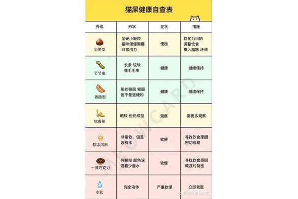 怎么软化大便