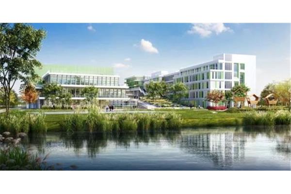 新城实验学校