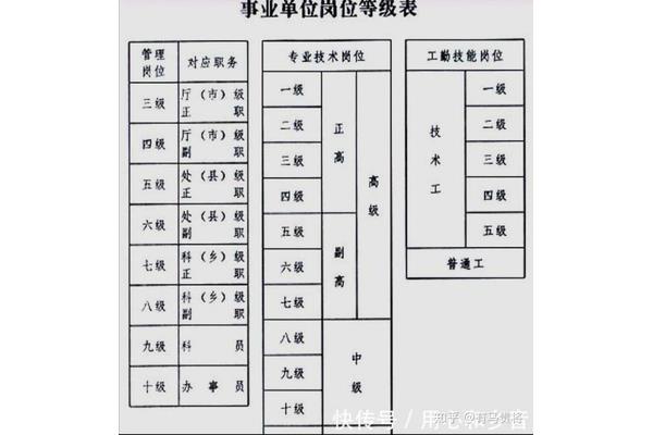 科员属于什么级别