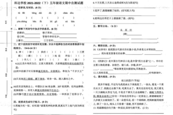五年级期中试卷