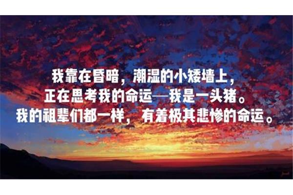 一路前行美句