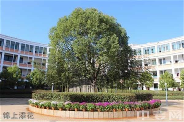 顺昌金桥学校