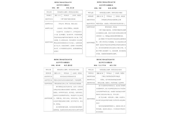 研学报告格式