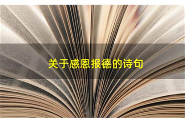 感恩报德的成语