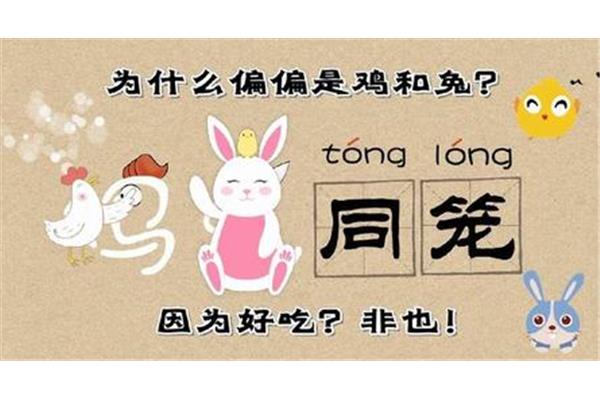 鸡兔同笼问题