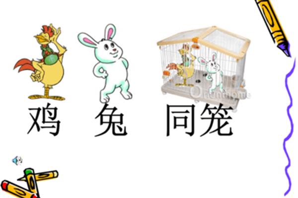 鸡兔同笼问题