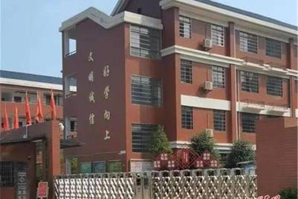新城实验学校