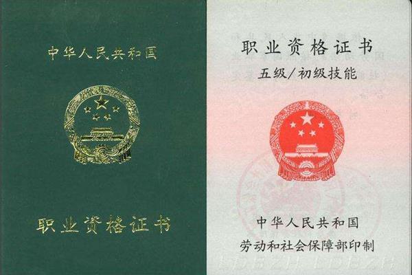 电工考什么证
