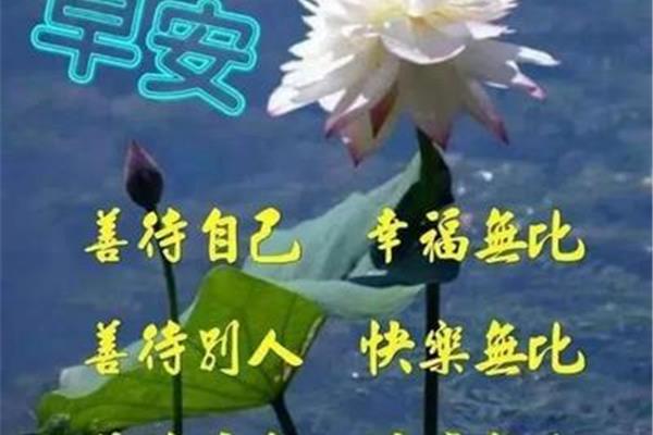优美的祝福语