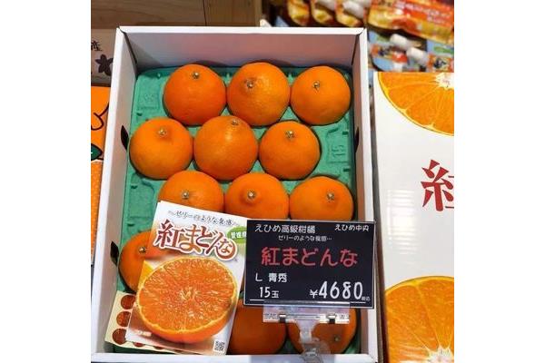 橘子怎么形容