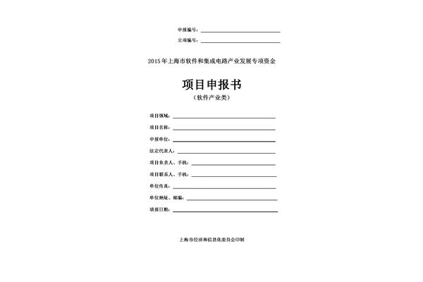 项目申报书模板