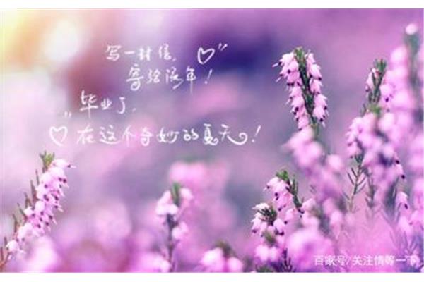 想起你的好