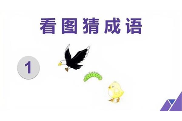 和鸟有关的成语