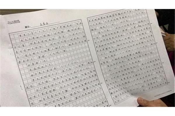 语文作文800字