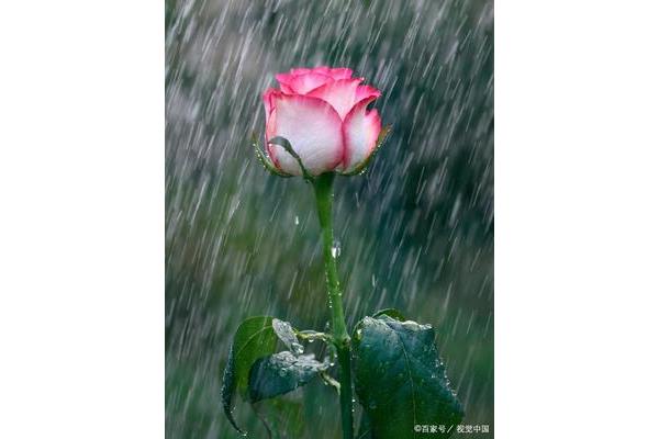 下雨的好处