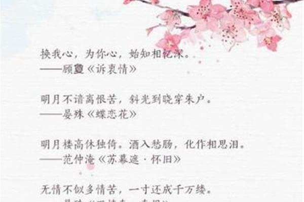 最美的情话