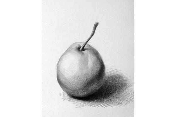 简单的素描画