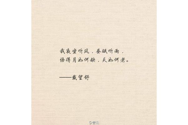 最美的情话