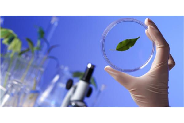生物技术有哪些