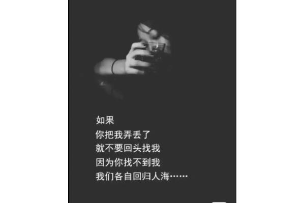 你把我弄丢了