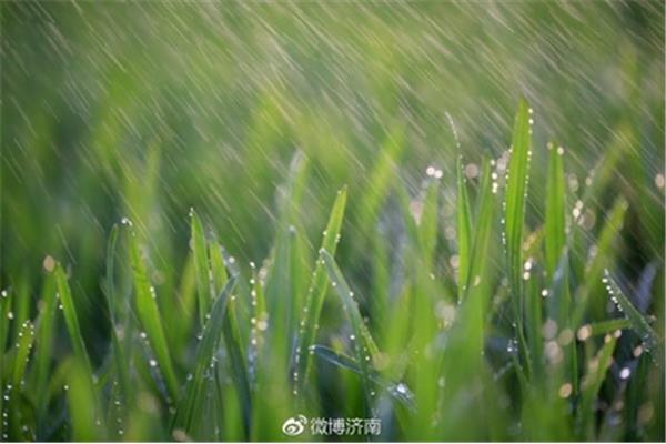 下雨的好处