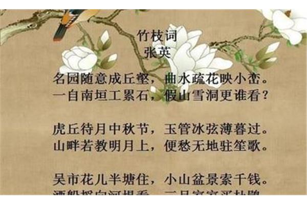 竹枝词的意思