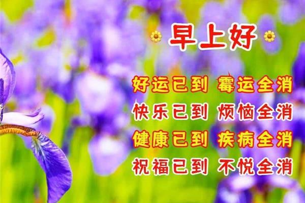 优美的祝福语