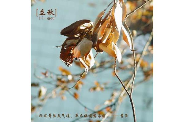 秋风落叶的意思