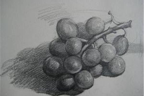 简单的素描画
