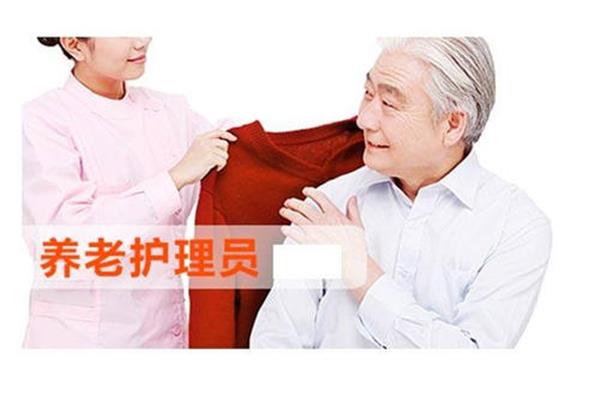 养老护理员