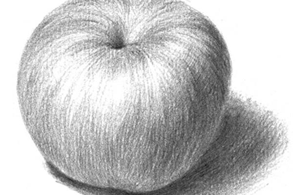 简单的素描画