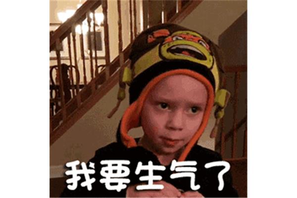 随意是什么意思