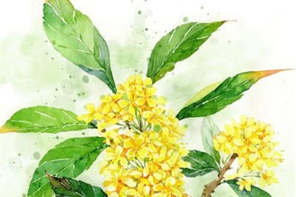 写桂花的诗