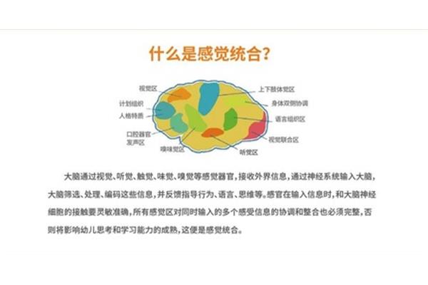 本体感觉包括哪些