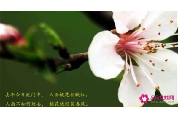美好祝愿的诗句