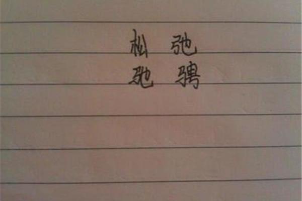 跑怎么组词