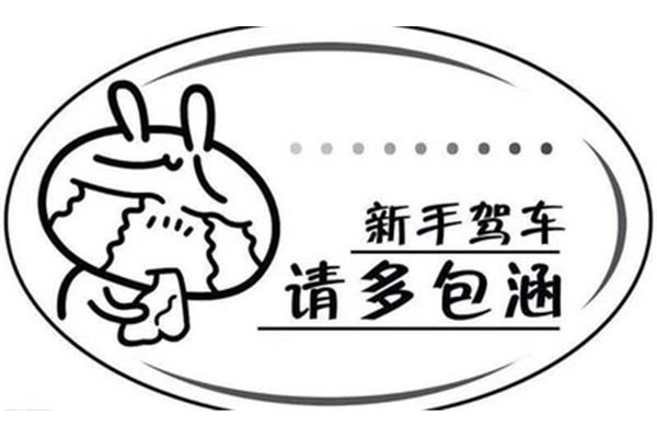 新手开车起步顺序