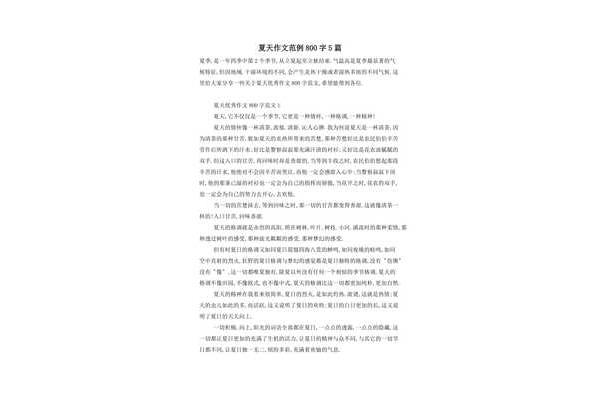 语文作文800字