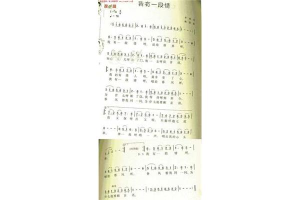 我有一段情简谱