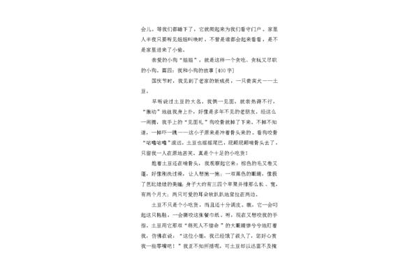 我和小狗的故事