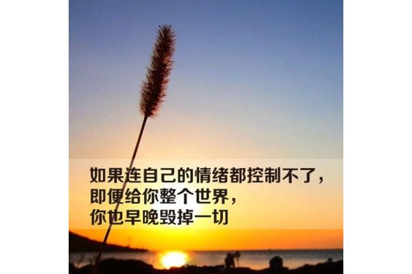 你把我弄丢了