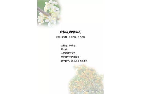 写桂花的诗