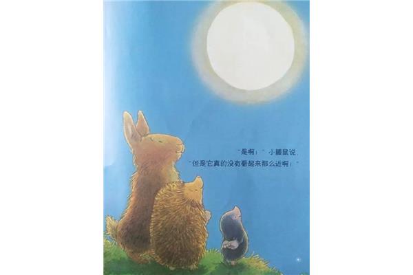 关于月亮的故事