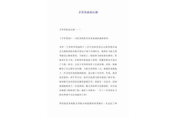 手斧男孩读后感