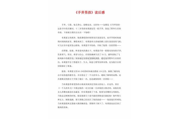 手斧男孩读后感