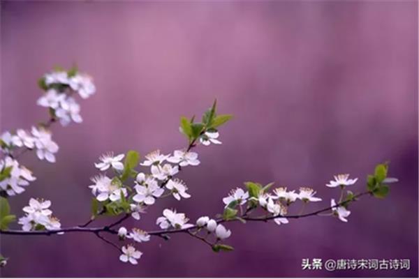 关于4月的诗句